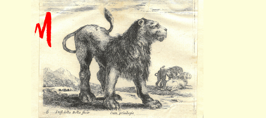 Stefano della Bella, Leoni, acquaforte, 1640 circa